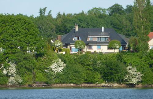 Fischreiher 2 - Foto 2