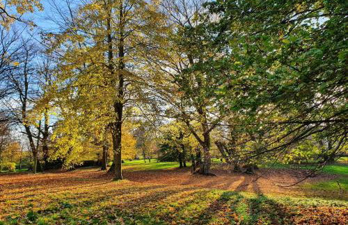 Wohnung nahe Ostsee Kühlungsborn - Foto 28