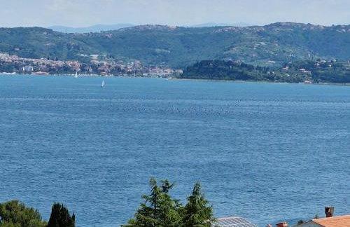 Villa del Golfo - Foto 20