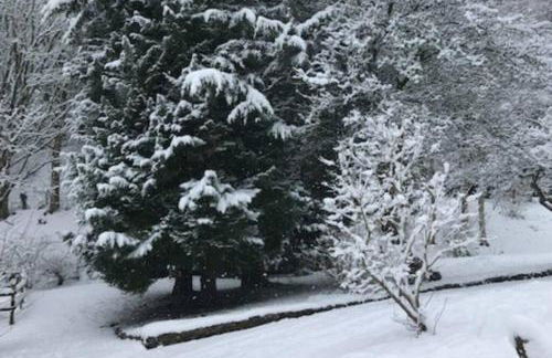 Historic 17th century farmhouse in Wales - Foto 27