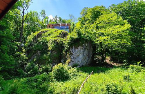 Ranczo Czerwony Młyn & Spa - Foto 36