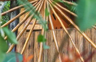 Cambuca Surf Skate - Foto 71