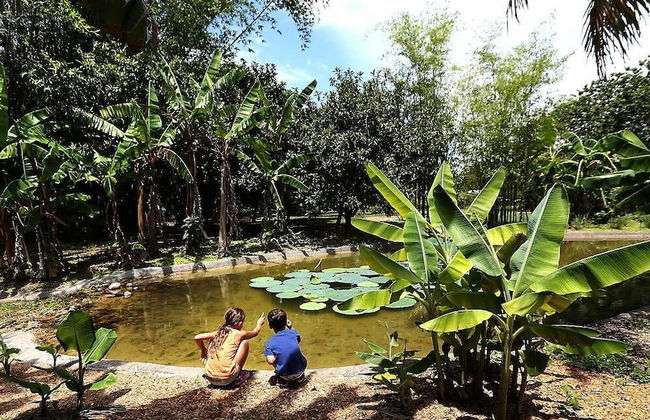 Rare Find! House of Happiness by MIA Zoo & FL Keys - Foto 24