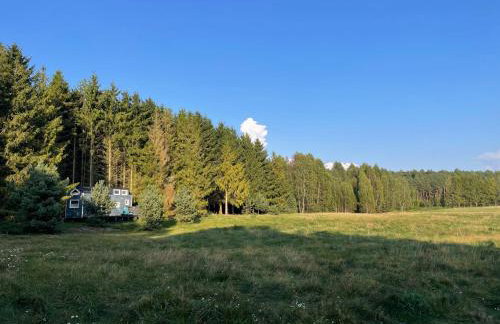 Leśne Siedlisko Wygonin - Foto 14