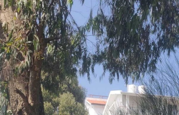 Bon Sejour Ooty Hill View Resort & Hotel - Foto 27