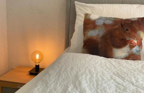 Hochschwarzwald Ferienwohnung - Foto 10