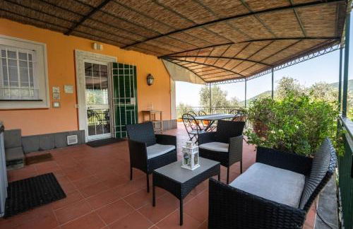 Ollie`s house - Foto 6