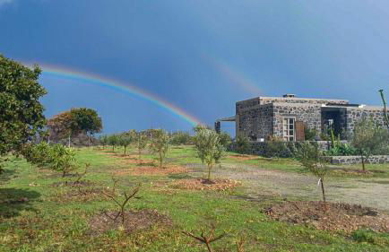 Pavlaina Complex of Traditional Residences in Nisyros. Enjoy the garden and the Sea View - Foto 46