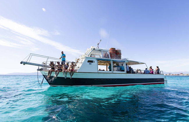 Palma Bay Boat Trip - Foto 7