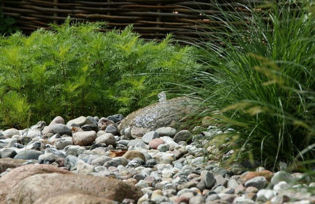 Reethus Star Kicker - Photo 26