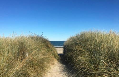 Ferienhaus Wiesenkate - Foto 28