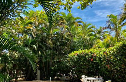 Apartamento Pimenta Rosa, 400m do mar, rua principal - Foto 29