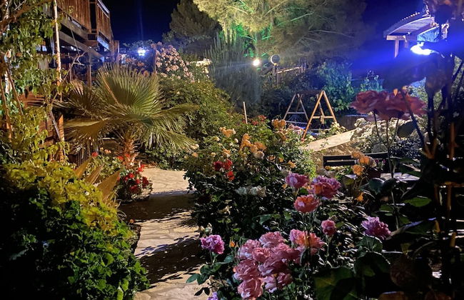 7 Green Adrasan - Foto 34