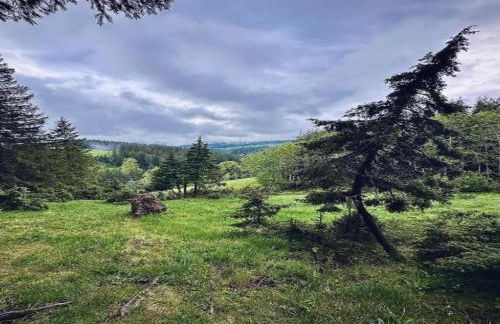 Elegante Ferienwohnung im Schwarzwald, Gorwihl - Foto 71