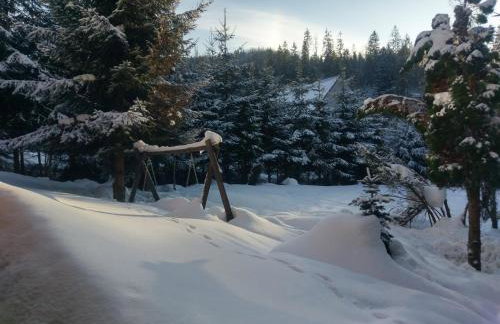 Góralski dom w Parku Krajobrazowym - Foto 27