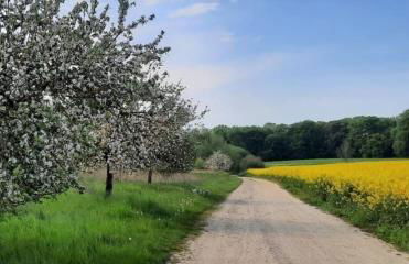 Ferienwohnung Seeblick Ratzeburg - Foto 40