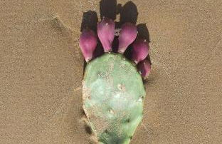 27 Via Agricola - Foto 42