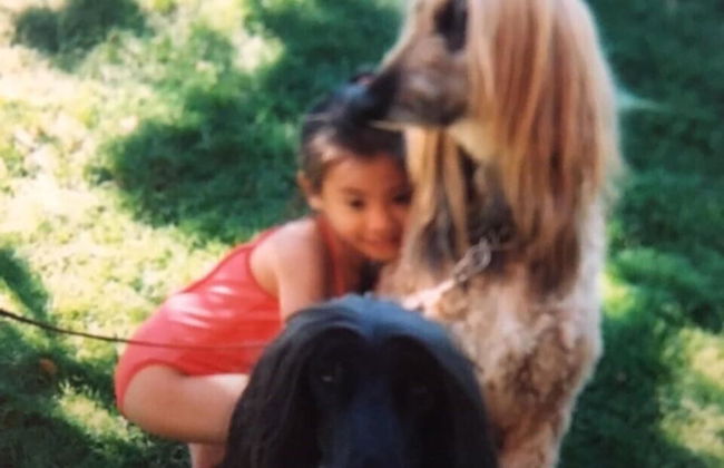 Blue Road Town Pension-Crystal - Foto 24