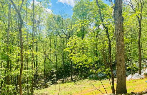 Enchanting Cottage In The Woods - Foto 16