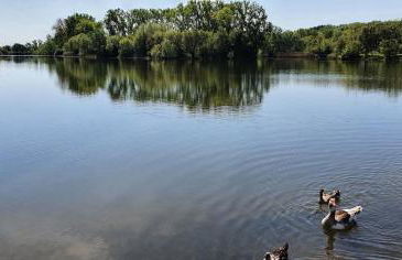 Ferienwohnung An der Dorfmauer - Foto 34