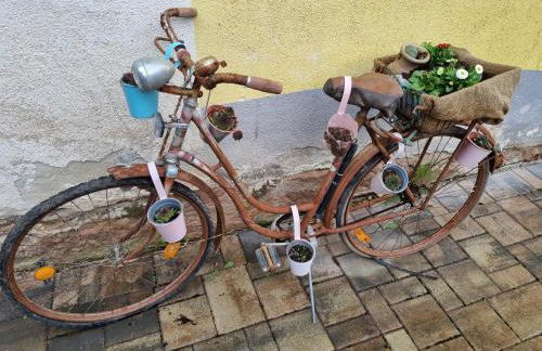 Haus Ziegenblick - Foto 6