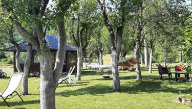 Apartments Paradise - Foto 2, Garden