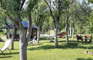 Apartments Paradise - Foto 2