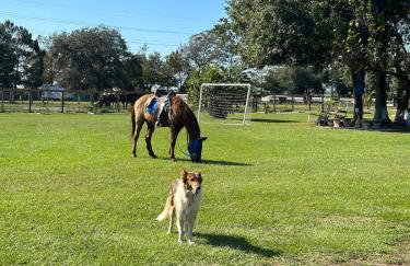Rancho el kairos - Photo 62