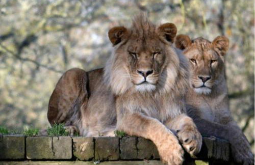 Cornwall Coastal Cottage - Beautiful & Stunning - Photo 29