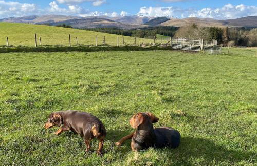 The Bothy, Callander - Foto 23