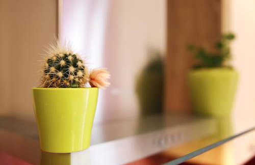 Apartment Lana - Photo 49