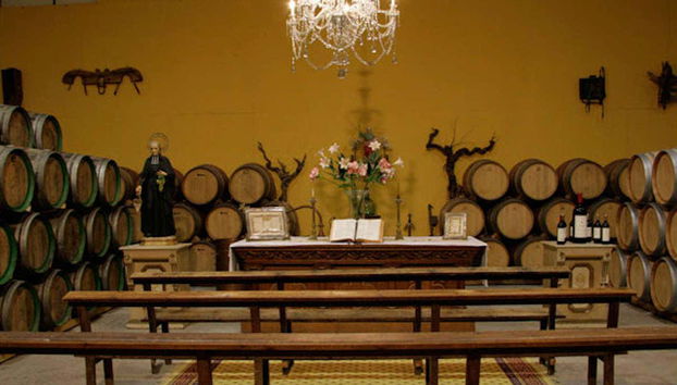 Tour in Lapuebla de Labarca - Photo 3