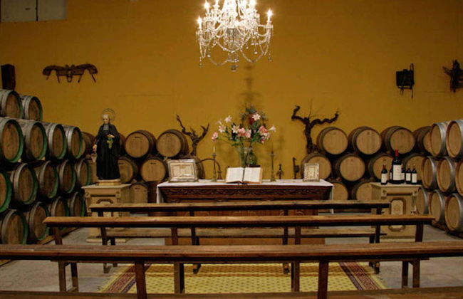 Visite du domaine viticole de Jilabá avec dégustation de vin - Photo 2