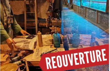 Pretty Poppy - Foto 34