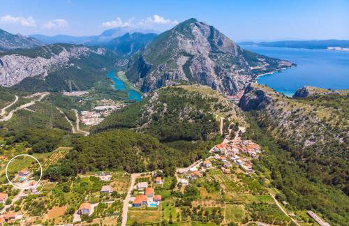 Villa Jelena - Photo 5