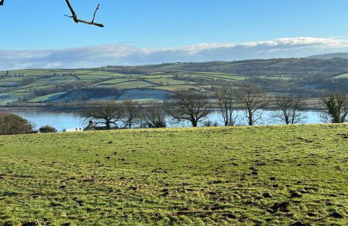 Elm Rise Place - Photo 10