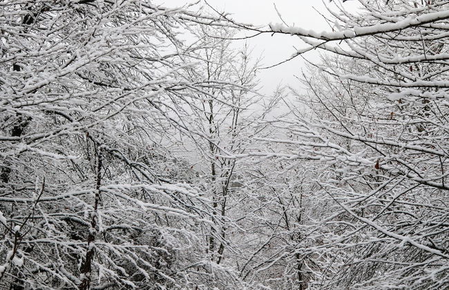 Villa Mtashi - Foto 54