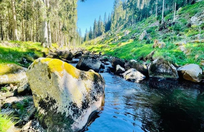 Lavish Holiday Home in Abertamy near Ski Area - Photo 36