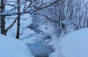 Fewo Allgäufreund - Foto 33