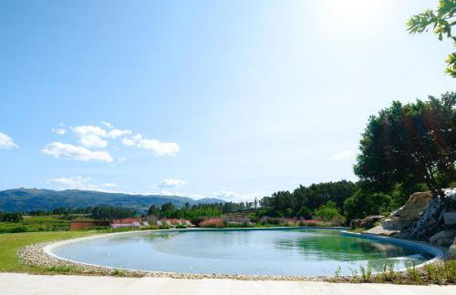 Lavandeira Douro Nature & Wellness - Foto 136