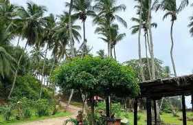 Aconchego Praia da Concha, Ilhéus - BA - Foto 13