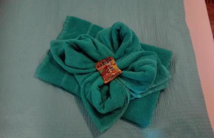 Ferienwohnungen Paul und Dorothea - Foto 55