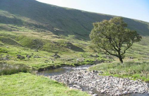 Hearthstanes Steading - Photo 34