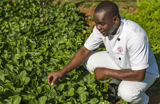 La Rochelle Country House and Spa - Foto 16