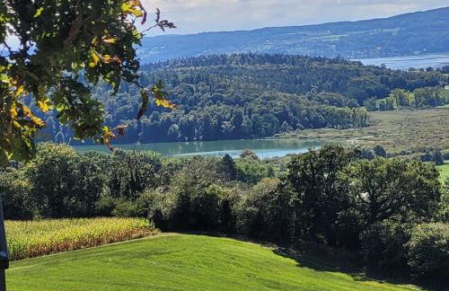 Ferienwohnung Riedblick-Süd-West - Photo 26