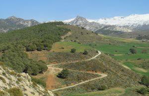 Cortijo Balzain - Foto 73