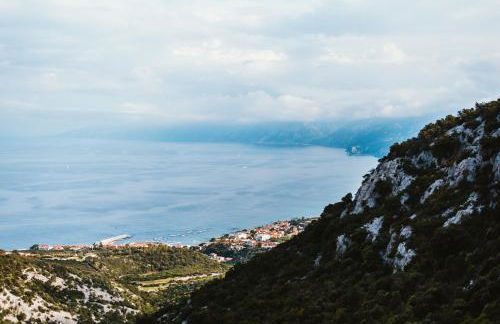 Auberge Santu Martine: Cottage with Pool (Manca) - Foto 65