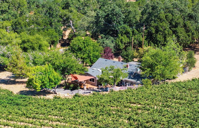 Luxury Wine Country Haven + Vineyard Views Near Top Wineries Adelaida Farmhouse - Foto 46