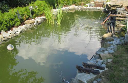 Ferienwohnungen Fuchshuber - Foto 12