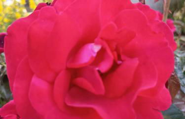 Spacieux Chalet en Bois Massif au coeur du Finistère - Foto 68